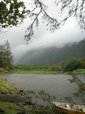 e0033156_1743184.jpg