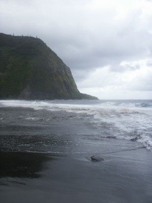 e0033156_1753672.jpg
