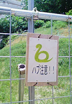 f0057456_2283298.jpg