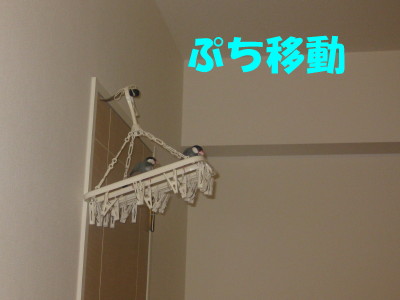 b0158061_2242336.jpg