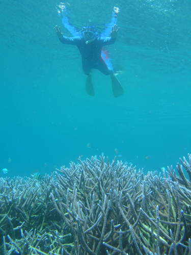 d0101062_16354298.jpg