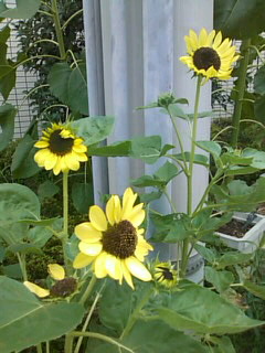 f0061067_2237467.jpg