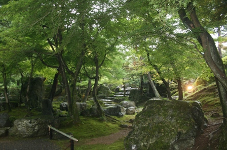f0088569_21363994.jpg