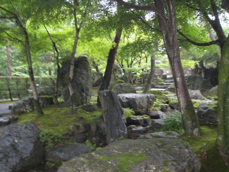 f0088569_21432293.jpg