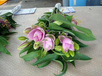 e0097770_06217.jpg