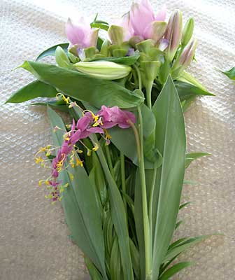 e0097770_062981.jpg