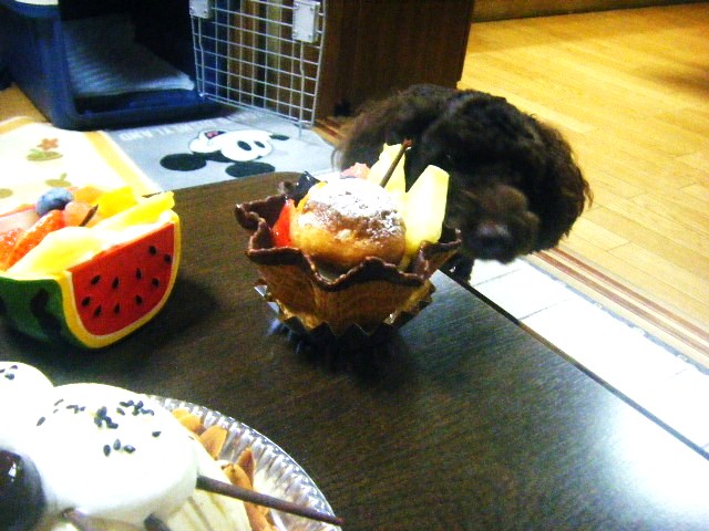 f0207970_10242732.jpg