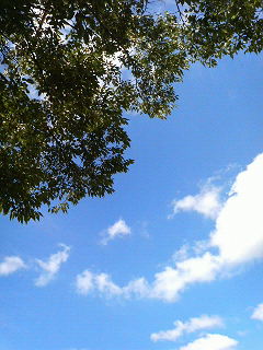 c0144683_19162414.jpg