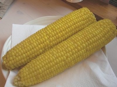 c0198485_14114786.jpg