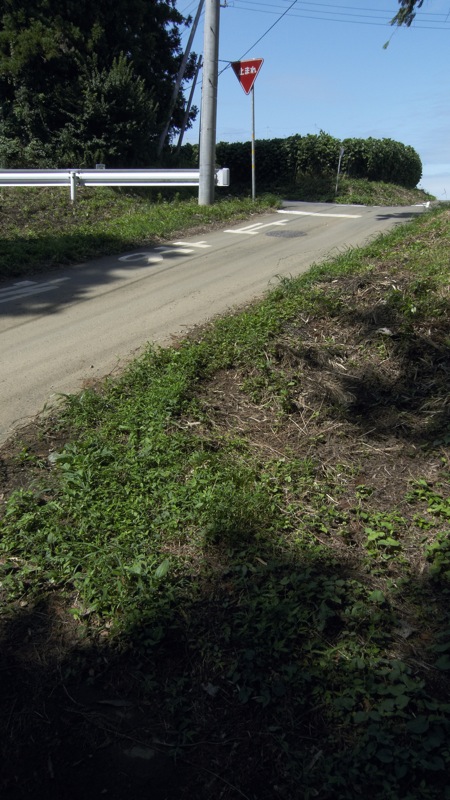 c0019089_21242363.jpg