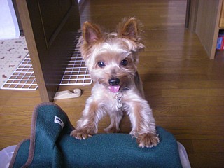 c0191390_21242724.jpg