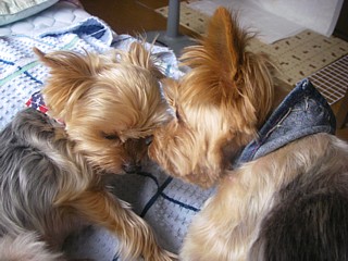 c0191390_21303678.jpg