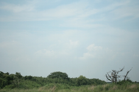 d0133693_14728.jpg