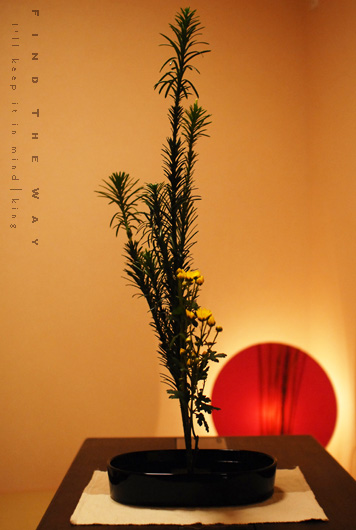 f0054594_4361375.jpg
