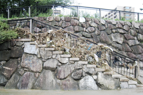 c0129498_817222.jpg
