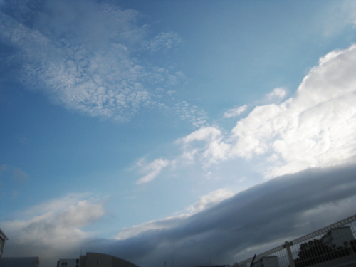 c0129498_82222.jpg