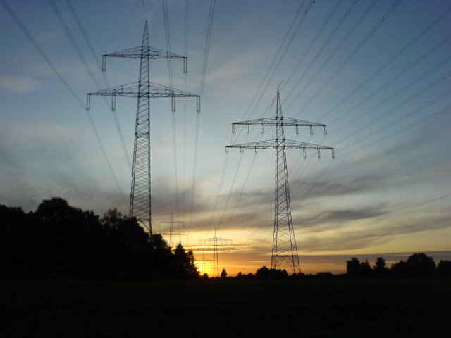 a0056401_1265675.jpg