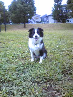 d0070702_958665.jpg