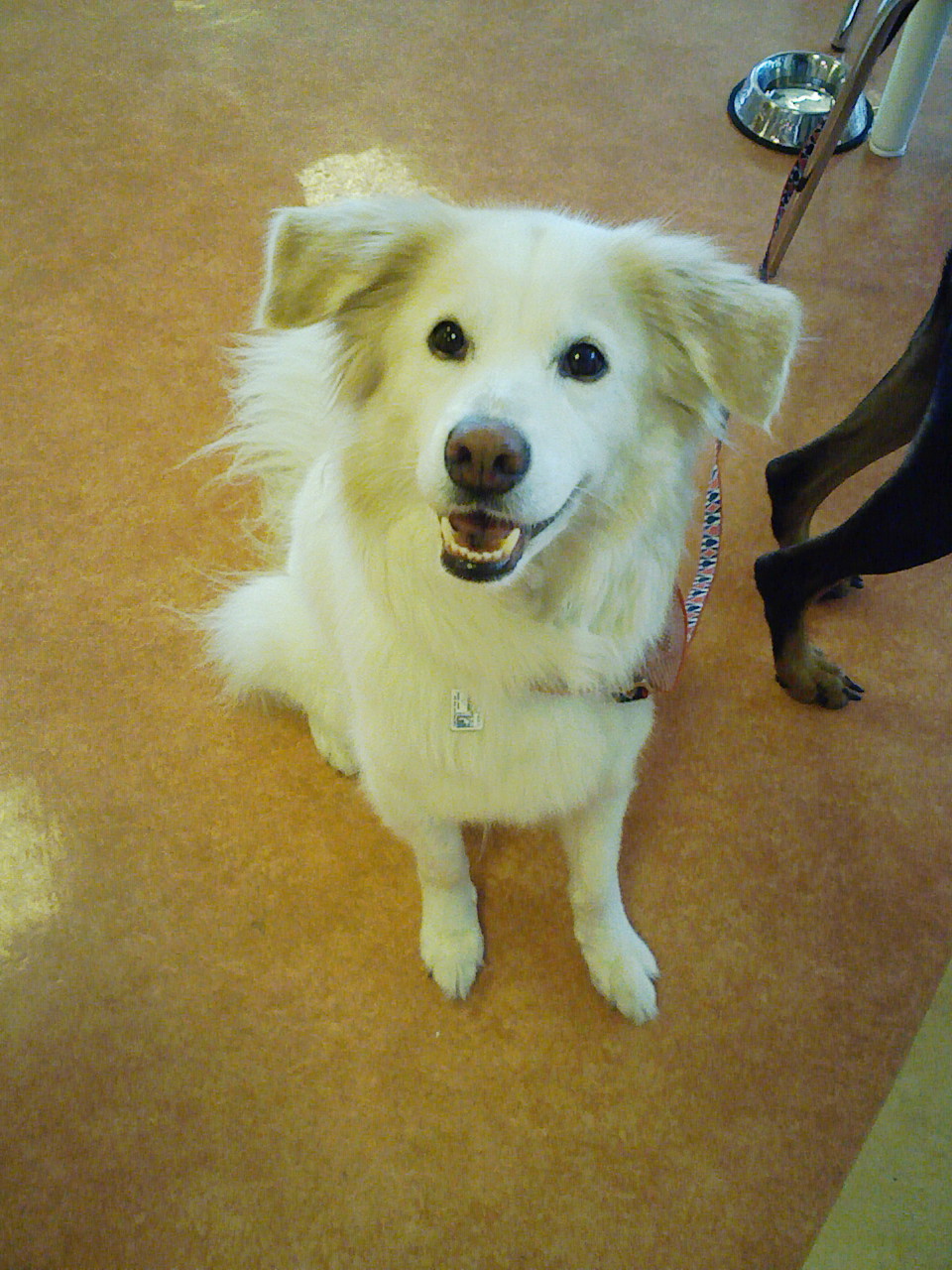 a0032004_18145921.jpg
