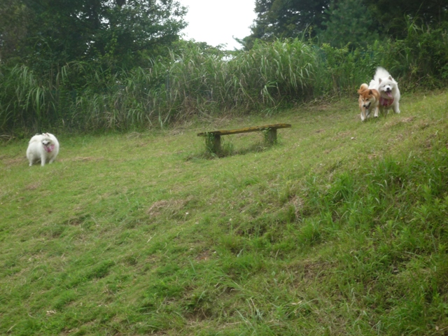 e0018604_2265244.jpg