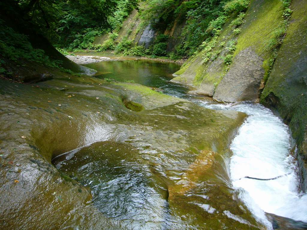 b0050305_17385063.jpg