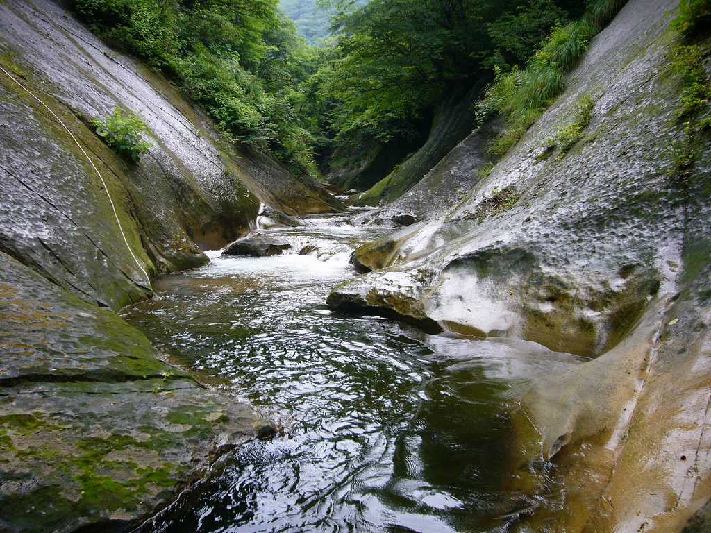 b0050305_17385967.jpg