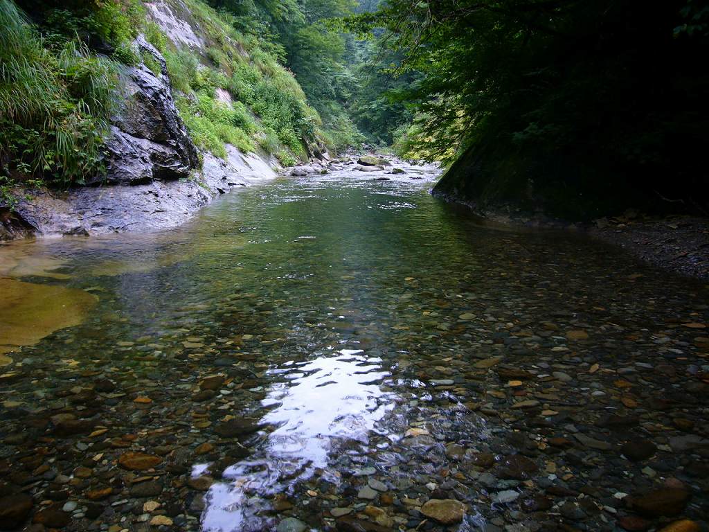 b0050305_1740454.jpg
