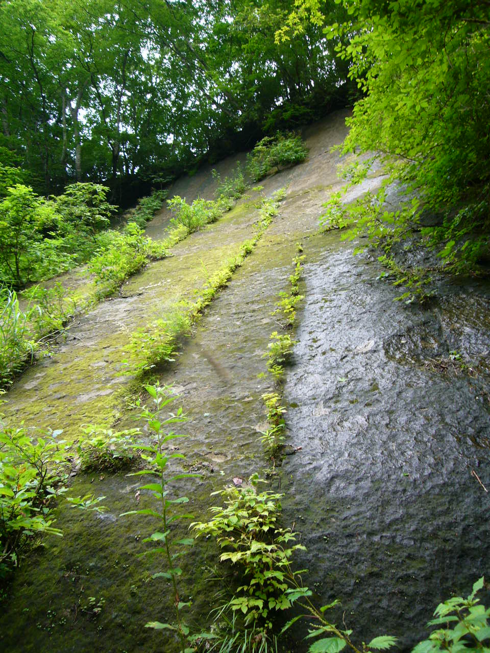 b0050305_1758372.jpg