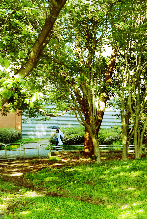 c0191707_12143195.jpg