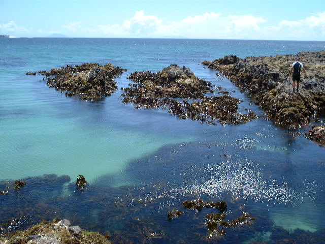 b0166909_5342741.jpg