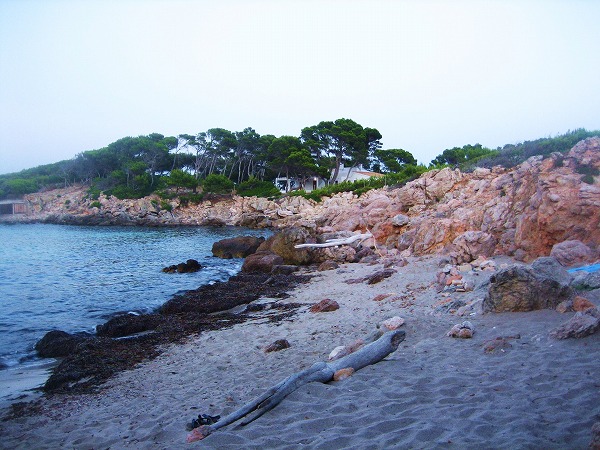 b0064411_20232448.jpg