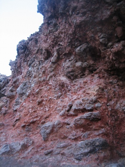 b0064411_20252331.jpg