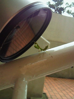 c0062511_2247148.jpg