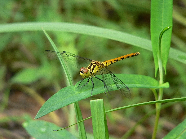 e0002314_20394547.jpg
