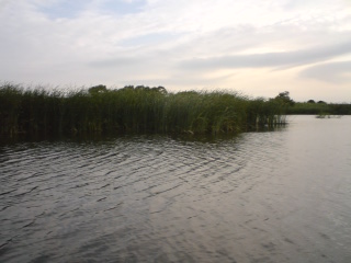 b0121015_22251820.jpg