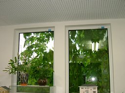 f0153115_21121580.jpg