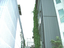 f0153115_21123548.jpg