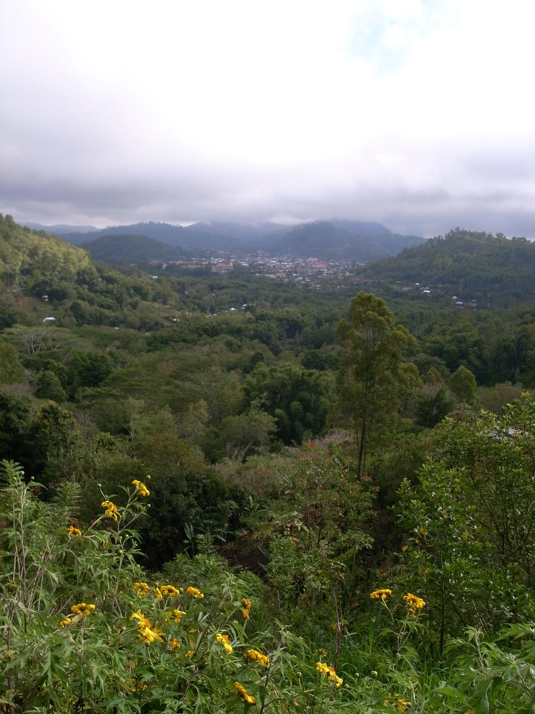 f0116817_16293613.jpg