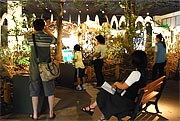 f0191517_20533341.jpg
