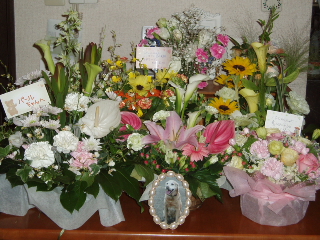 f0192117_20265232.jpg