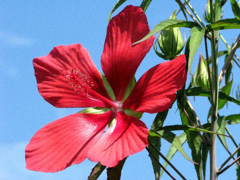 a0004023_1455468.jpg