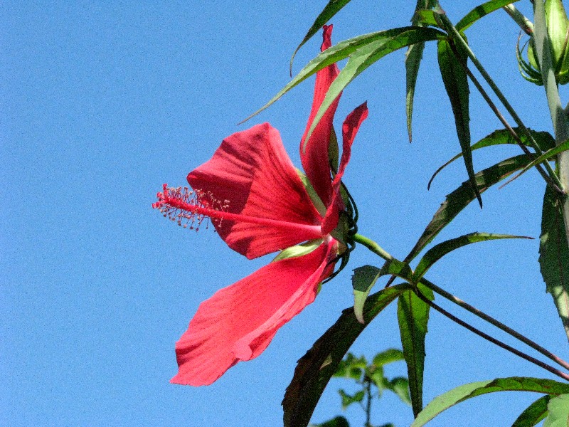 a0004023_14562147.jpg