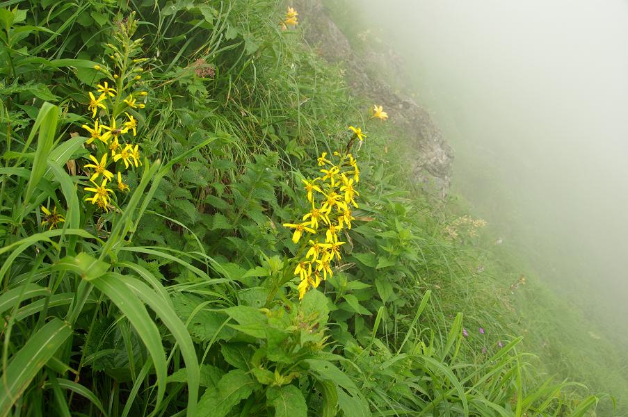 b0062024_1035716.jpg