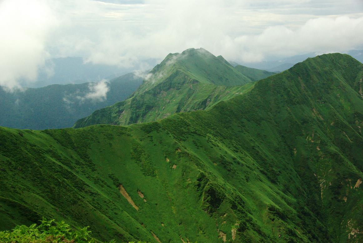 b0062024_111393.jpg