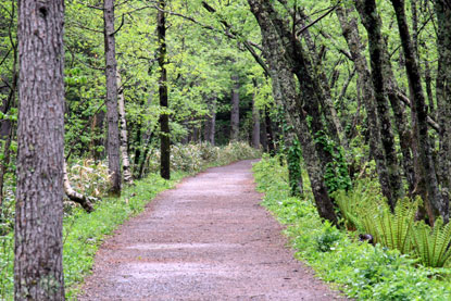 f0137324_8105950.jpg