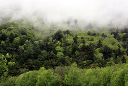 f0137324_8115361.jpg