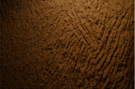 a0131025_23354586.jpg