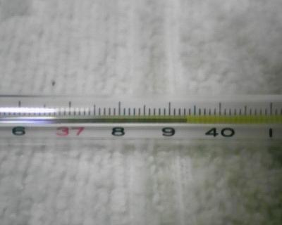 d0005827_0142673.jpg