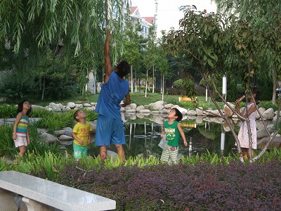 f0139029_17235891.jpg