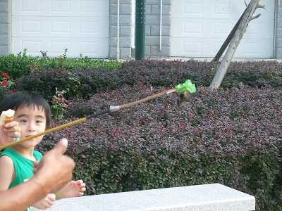 f0139029_17252081.jpg